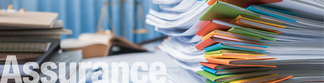 assurance service